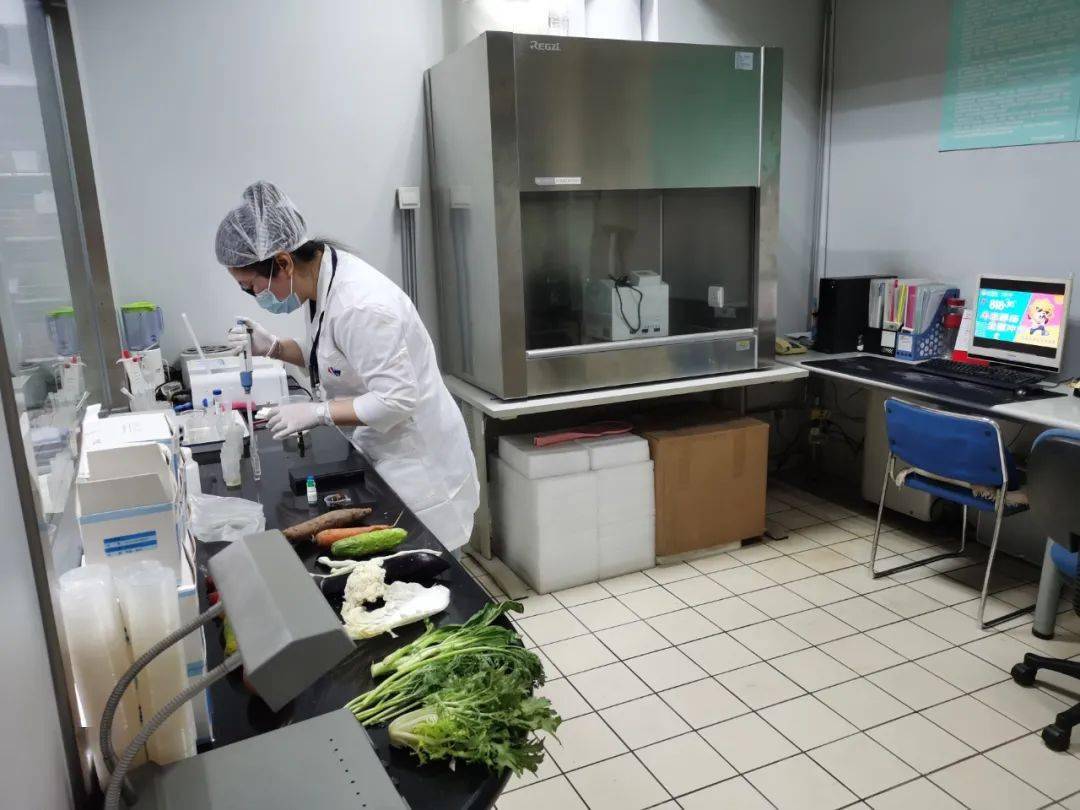 杞县食品检测实验室装修方案